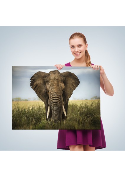 -Premier Kanvas Serileri- Fil Dekoratif Kanvas Tablo 1121 fırsatları