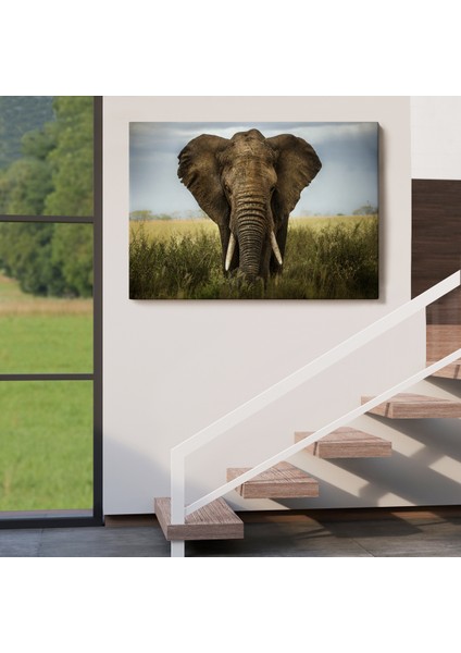 -Premier Kanvas Serileri- Fil Dekoratif Kanvas Tablo 1121 indirimleri