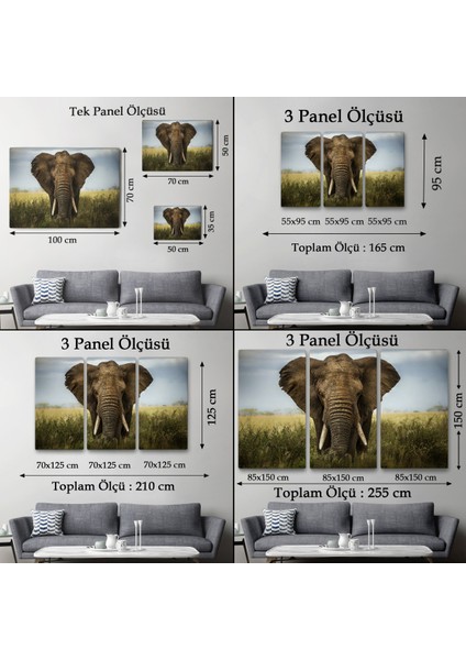 -Premier Kanvas Serileri- Fil Dekoratif Kanvas Tablo 1121