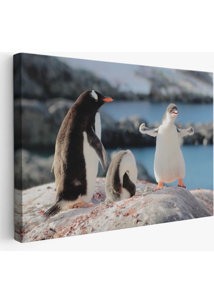 -Premier Kanvas Serileri- Mutlu Penguenler Dekoratif Kanvas Tablo 1172