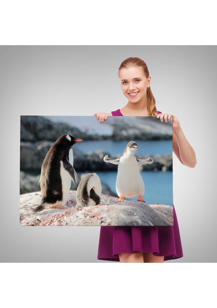 -Premier Kanvas Serileri- Mutlu Penguenler Dekoratif Kanvas Tablo 1172 fırsatları