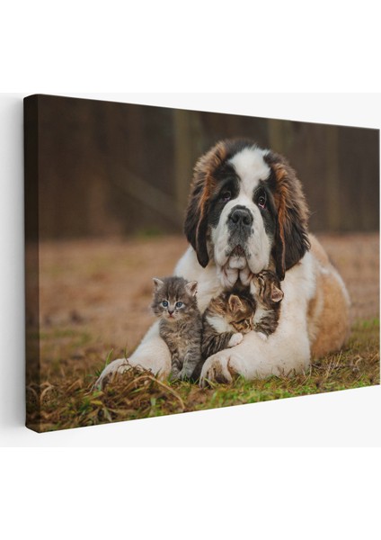 -Premier Kanvas Serileri- St. Bernard Köpek ve Yavru Kediler Dekoratif Kanvas Tablo 1124