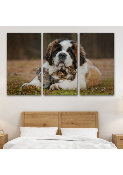 -Premier Kanvas Serileri- St. Bernard Köpek ve Yavru Kediler Dekoratif Kanvas Tablo 1124 modelleri