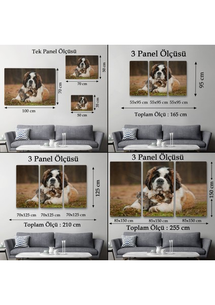 -Premier Kanvas Serileri- St. Bernard Köpek ve Yavru Kediler Dekoratif Kanvas Tablo 1124