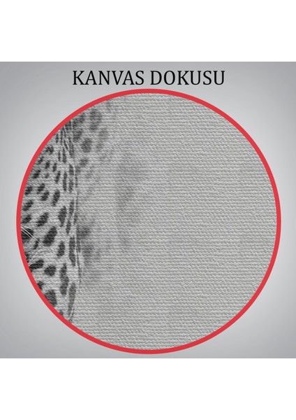 -Premier Kanvas Serileri- Leopar Dekoratif Kanvas Tablo 1154