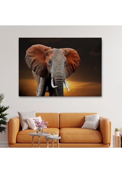 -Premier Kanvas Serileri- Fil Dekoratif Kanvas Tablo 1167 fiyatları