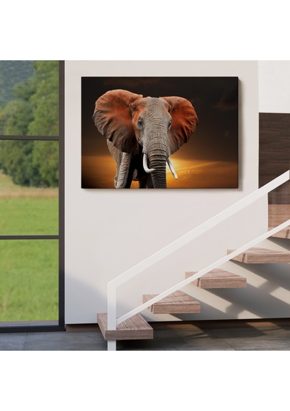 -Premier Kanvas Serileri- Fil Dekoratif Kanvas Tablo 1167 indirimleri