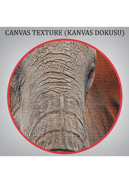 -Premier Kanvas Serileri- Fil Dekoratif Kanvas Tablo 1167