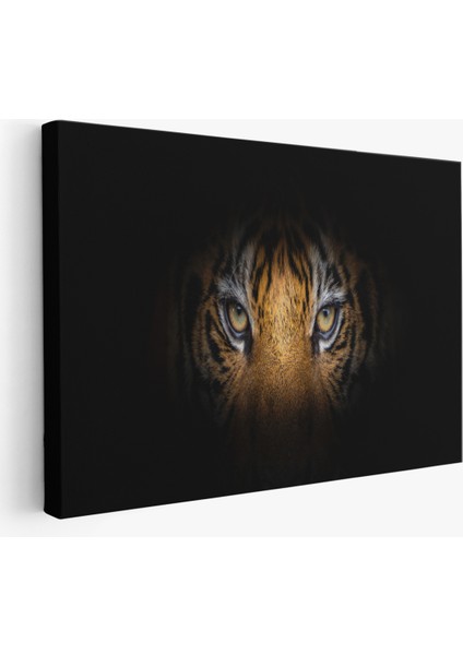 -Premier Kanvas Serileri- Kaplan Gözleri Dekoratif Kanvas Tablo 1161