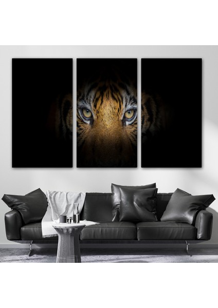 -Premier Kanvas Serileri- Kaplan Gözleri Dekoratif Kanvas Tablo 1161 modelleri