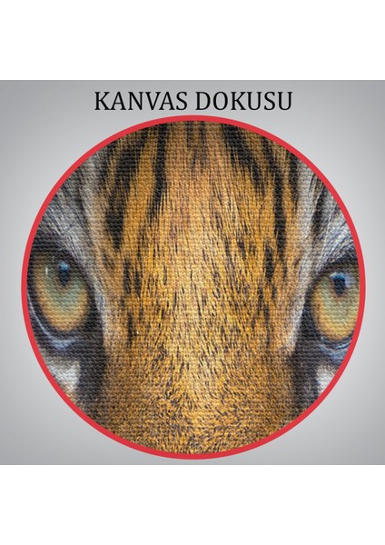 -Premier Kanvas Serileri- Kaplan Gözleri Dekoratif Kanvas Tablo 1161