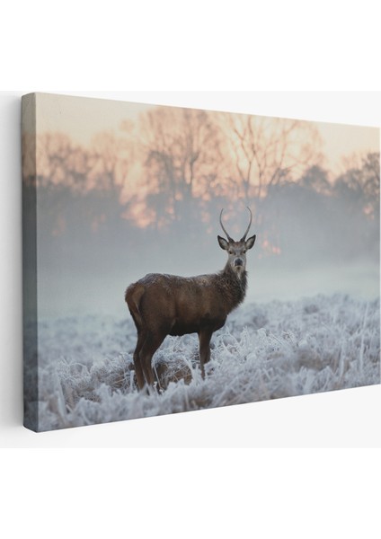 -Premier Kanvas Serileri- Geyik Dekoratif Kanvas Tablo 1166