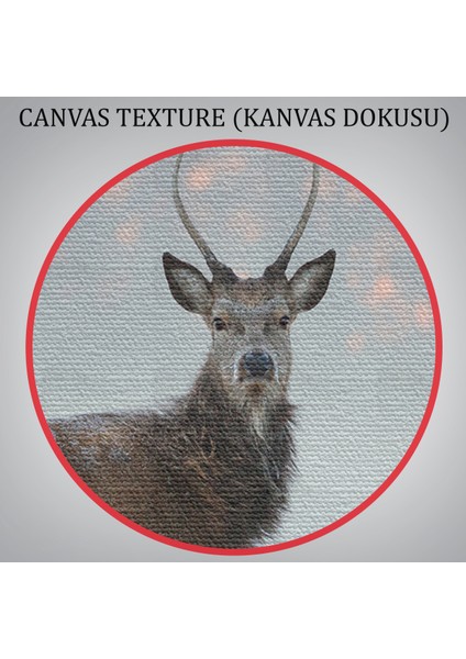 -Premier Kanvas Serileri- Geyik Dekoratif Kanvas Tablo 1166