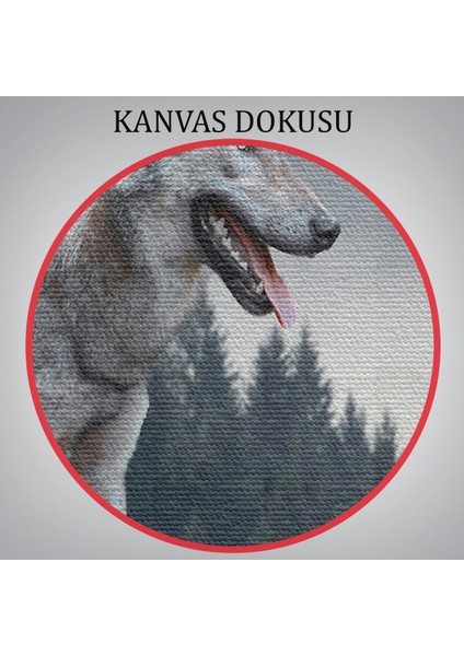 -Premier Kanvas Serileri- Bozkurt Dekoratif Kanvas Tablo 1148