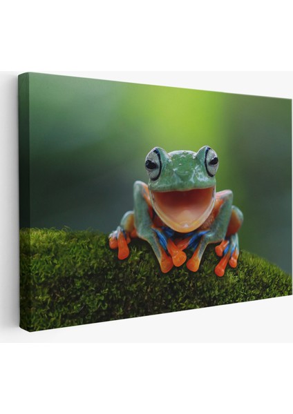 -Premier Kanvas Serileri- Renkli Gülen Kurbağa Dekoratif Kanvas Tablo 1149