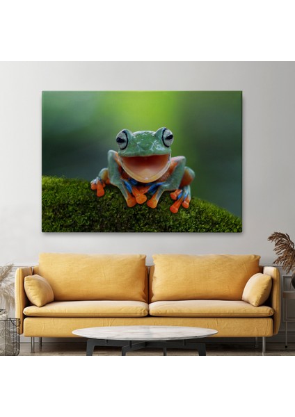 -Premier Kanvas Serileri- Renkli Gülen Kurbağa Dekoratif Kanvas Tablo 1149 fiyatları