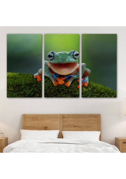 -Premier Kanvas Serileri- Renkli Gülen Kurbağa Dekoratif Kanvas Tablo 1149 modelleri