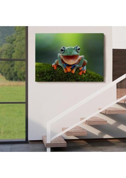 -Premier Kanvas Serileri- Renkli Gülen Kurbağa Dekoratif Kanvas Tablo 1149 fırsatları