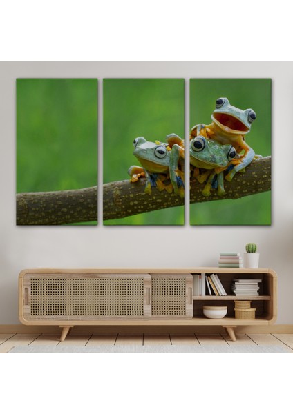 -Premier Kanvas Serileri- Küçük Kurbağalar Dekoratif Kanvas Tablo 1179 modelleri