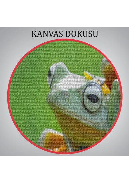 -Premier Kanvas Serileri- Küçük Kurbağalar Dekoratif Kanvas Tablo 1179