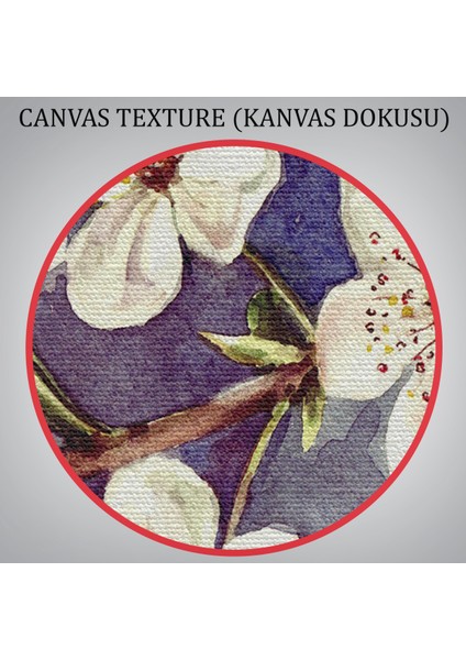 -Premier Kanvas Serileri- Beyaz Erik Çiçekleri Duvar TABLOSU-1234