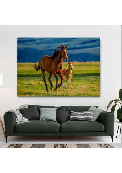 -Premier Kanvas Serileri- At ve Tay Manzaralı Dekoratif Kanvas Tablo 1173 fiyatları
