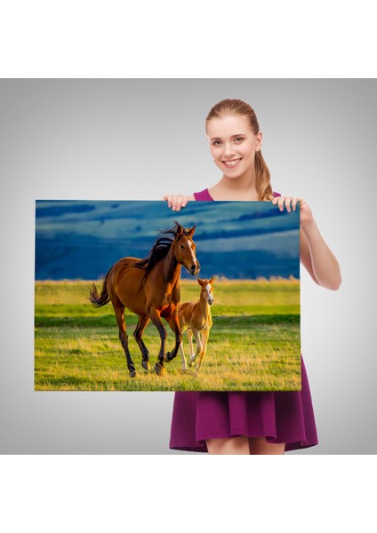 -Premier Kanvas Serileri- At ve Tay Manzaralı Dekoratif Kanvas Tablo 1173 fırsatları