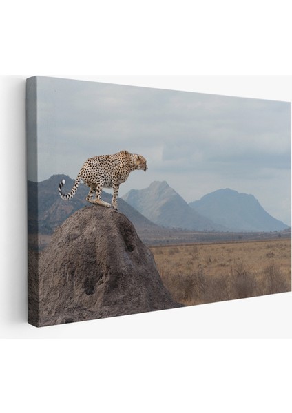 -Premier Kanvas Serileri- Leopar Dekoratif Kanvas Tablo -1127