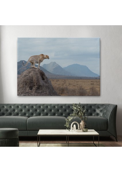 -Premier Kanvas Serileri- Leopar Dekoratif Kanvas Tablo -1127 fiyatları