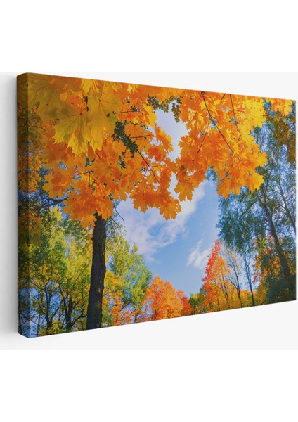 -Premier Kanvas Serileri- Sarı Yapraklı Sonbahar Manzarası Duvar TABLOSU-1236