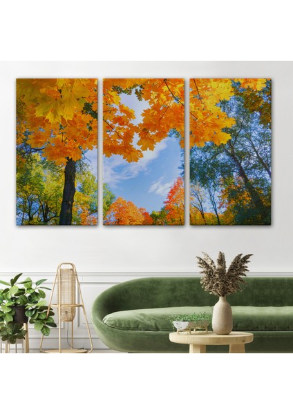 -Premier Kanvas Serileri- Sarı Yapraklı Sonbahar Manzarası Duvar TABLOSU-1236 modelleri