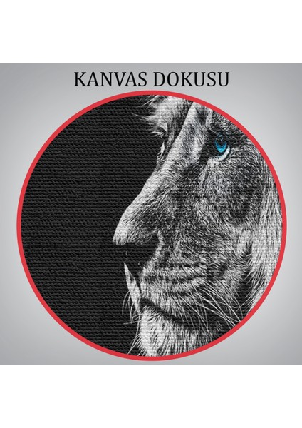 -Premier Kanvas Serileri- Aslan Dekoratif Kanvas Tablo 1153