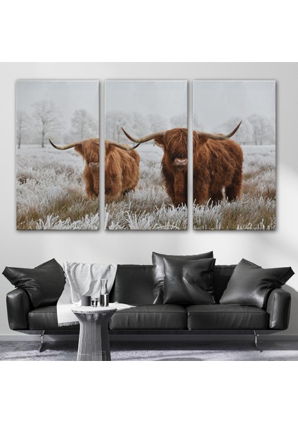 -Premier Kanvas Serileri- Iskoçya Sığırları Dekoratif Kanvas Tablo 1150 modelleri