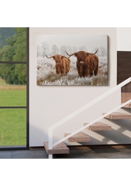 -Premier Kanvas Serileri- Iskoçya Sığırları Dekoratif Kanvas Tablo 1150 indirimleri