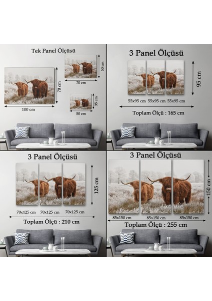-Premier Kanvas Serileri- Iskoçya Sığırları Dekoratif Kanvas Tablo 1150