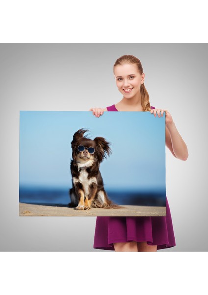 -Premier Kanvas Serileri- Küçük Köpek Dekoratif Kanvas Tablo 1157 fırsatları