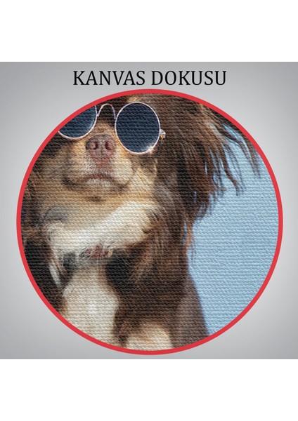 -Premier Kanvas Serileri- Küçük Köpek Dekoratif Kanvas Tablo 1157
