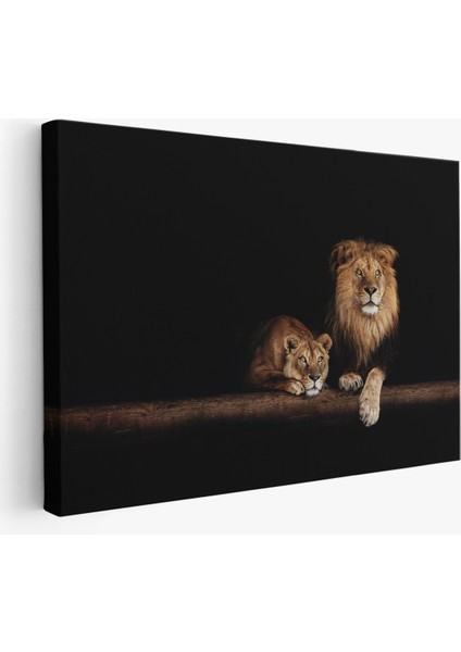 -Premier Kanvas Serileri- Aslanlar Dekoratif Kanvas Tablo 1151