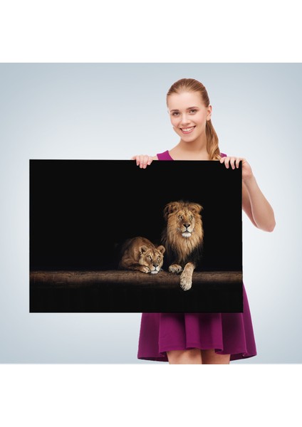 -Premier Kanvas Serileri- Aslanlar Dekoratif Kanvas Tablo 1151 fırsatları