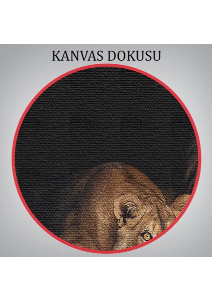 -Premier Kanvas Serileri- Aslanlar Dekoratif Kanvas Tablo 1151