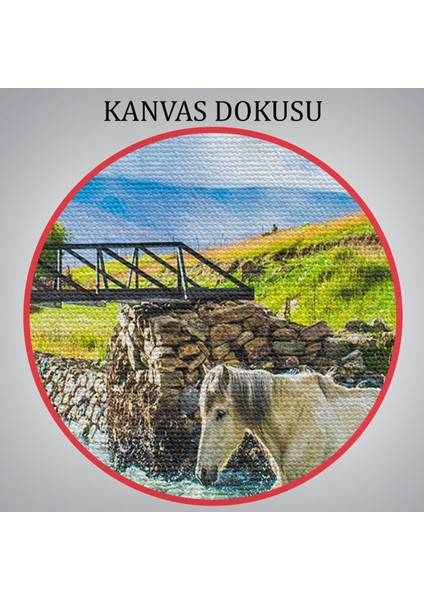 -Premier Kanvas Serileri- Dereden Geçen Atlar Manzaralı Dekoratif Kanvas Tablo 1169
