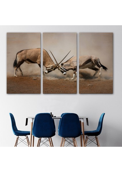 -Premier Kanvas Serileri- Antilob Dekoratif Kanvas TABLO-1117 modelleri