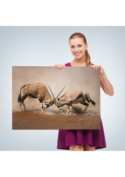 -Premier Kanvas Serileri- Antilob Dekoratif Kanvas TABLO-1117 fırsatları