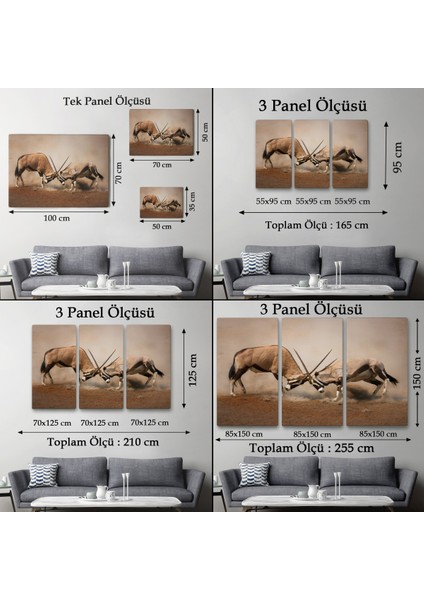 -Premier Kanvas Serileri- Antilob Dekoratif Kanvas TABLO-1117