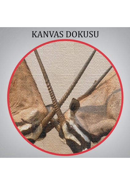 -Premier Kanvas Serileri- Antilob Dekoratif Kanvas TABLO-1117