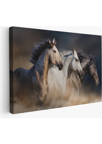 -Premier Kanvas Serileri- Koşan Atlar Dekoratif Kanvas Tablo -1129