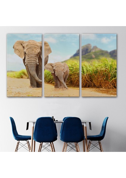 -Premier Kanvas Serileri- Fil ve Yavrusu Dekoratif Kanvas Tablo 1144 modelleri