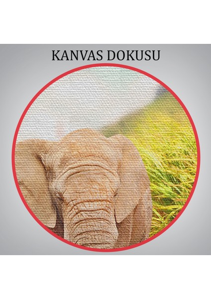-Premier Kanvas Serileri- Fil ve Yavrusu Dekoratif Kanvas Tablo 1144