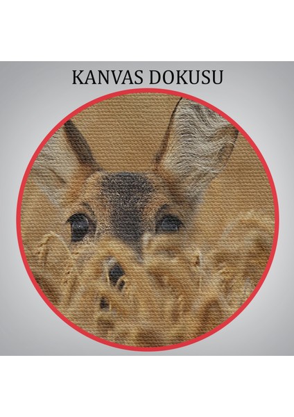 -Premier Kanvas Serileri- Ceylan Dekoratif Kanvas Tablo 1145