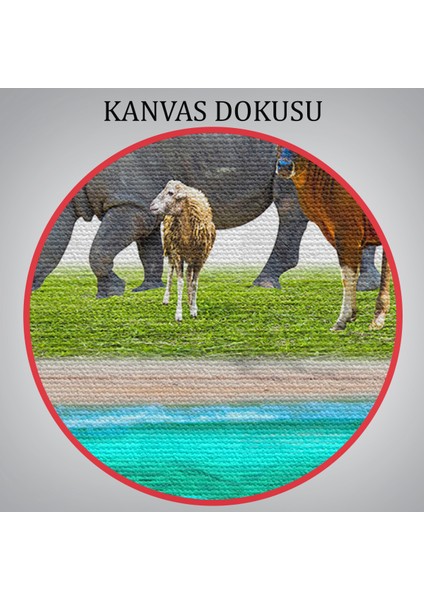 -Premier Kanvas Serileri- Hayvanlar Alemi Dekoratif Kanvas Tablo 1177
